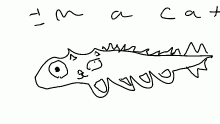 CAT RRRRRRRRRRRRRRRRRR