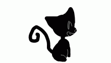 a kitty!!