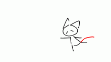 a cat