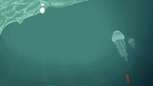 Ocean {practice}