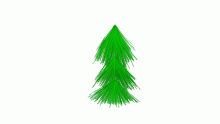 Oh Look A Tree