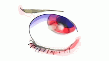 eye or smth