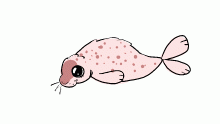 seal