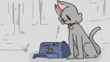 a cat with a hat
