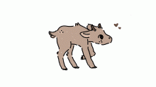 bb deer :))
