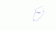 head_test.png
