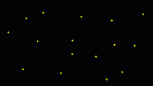 firefly effect test