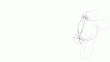 a dragon