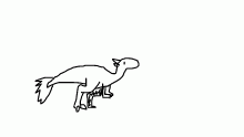Run Raptor Run