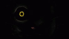i see youuuuuuuuuuuuuuuuu
