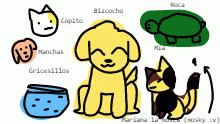 mis ex-mascotas