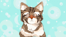Cat-o
