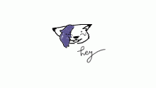 I gave up
