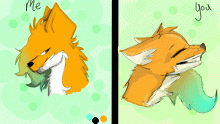 wink wonk