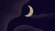 Moonlit sky