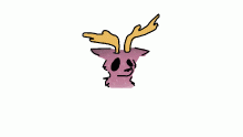 Chicken Smoothie Pet