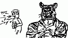 An angry tiger