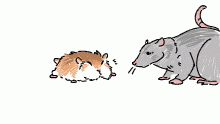 small