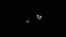 smile bros