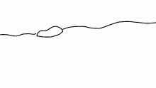 waves test