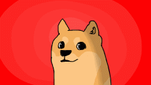 doge >:3