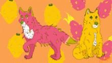 Dragon Fruit dog Duo