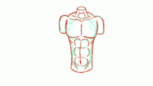 Male torso help thing