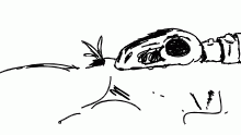 skeleton