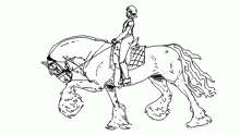 Spanish trot [Going to sleep]