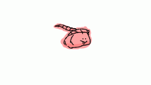worm