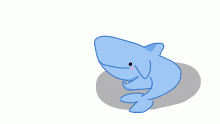 shark
