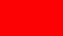 can you find the word