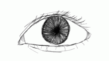 eye