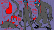 coyote ref.