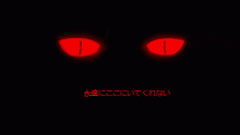 セスト・フレラー