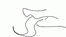 licc