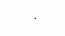 Latest animation by -LadyBug-🐞