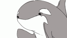 some whale news 🐋🐬