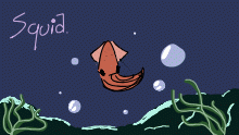 Avatar for squid