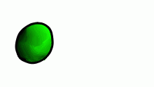 Another test