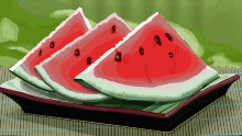 Watermelon Slices
