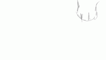 Animation