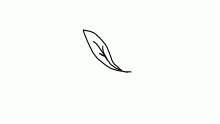 falling leaf practice thing