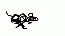 rat