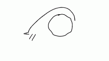 eye