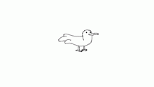 weird swan metamorphosisisis