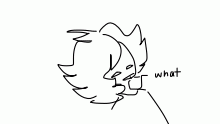 I have 25 wips and