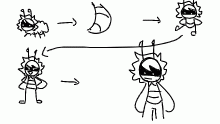 the life of pepper