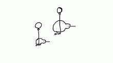 leaked footage of the NZ airforce.