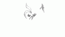 ANGEE